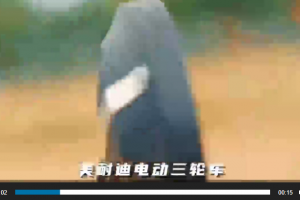 作品欣赏