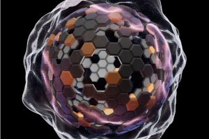 Blender六角拼图